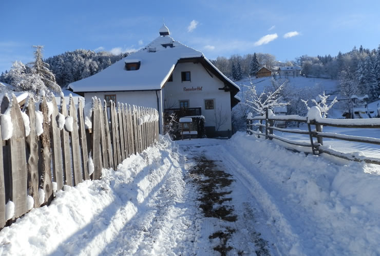 Ronacherhof im Winter